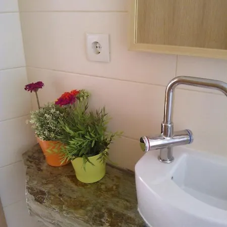 Casas Botelho Elias *