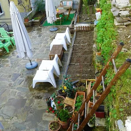 Casas Botelho Elias *