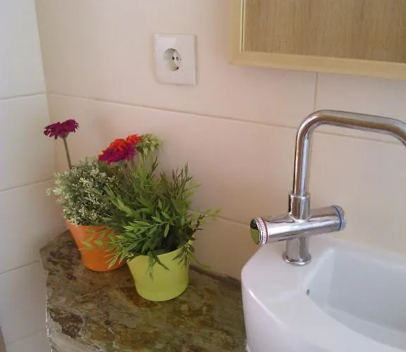 Casas Botelho Elias *