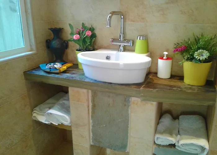 Casas Botelho Elias *